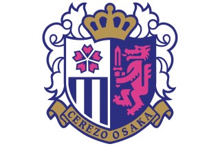 包含大阪樱花突围成功，成为实力派晋级球队的词条